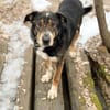 LEVA-liebevolle Familue gesucht