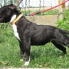 RUBY (réservée)