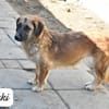 LOUKI
