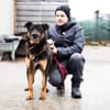 Samba - ein wahrer Traumhund