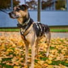 Startest du mit Jadon in ein neues Leben