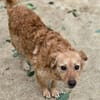 LOLA 2 sucht Familie
