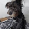 Lulu 💗 wartet in 27751 Delmenhorst