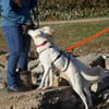 Marte sucht ein liebevolles Heim