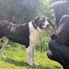 Bezaubernde Grace sucht Körbchen