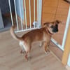 Nelly  - munter und aufgeweckt