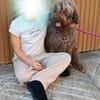 Mia7 sucht ein Zuhause