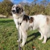 Ozora sucht ihre Herzensmenschen!