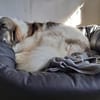 Ozora sucht ihre Herzensmenschen!