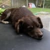 TITA (treu, zart, liebevoll)