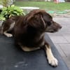 TITA (treu, zart, liebevoll)