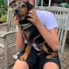 Roco4 sucht ein Zuhause/Pflegestelle
