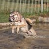 Rudi  Partner fürs Leben gesucht!