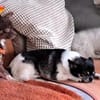 Dio sucht ein ländliches, ruhiges Heim