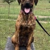 Abenteuer Bruno sucht seine Familie!