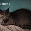 Saturne