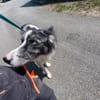 Pixel