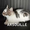 ARSOUILLE