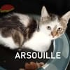 ARSOUILLE
