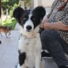MAX (Martina)