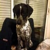 NALA