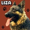 LIZA hofft auf eine Familie