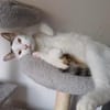 Putziger Val stellt sich vor