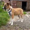 Hazel - wo darf ich glücklich sein?
