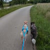 Laika - die Sportliche