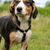 Anna - Familienanschluss gesucht