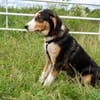 Anna - Familienanschluss gesucht