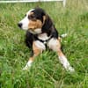Anna - Familienanschluss gesucht