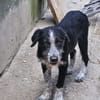 Liebe Paula, sucht ihre Familie