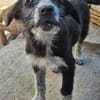 Liebe Paula, sucht ihre Familie