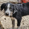 Liebe Paula, sucht ihre Familie