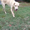 Super BUDY !
