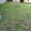 Super BUDY !