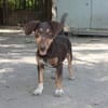 Jasmin sucht eine liebevolle Familie