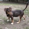 Jasmin sucht eine liebevolle Familie