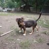 Jasmin sucht eine liebevolle Familie