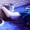 verspielte, kinderliebe Bengal- Kätzin,