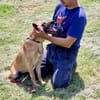 🆘🆘🆘 RUBY in 91616 Neusitz 🆘🆘🆘🍀