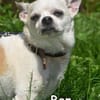 BEN