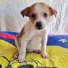 Marcy sucht ein Zuhause