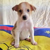 Marcy sucht ein Zuhause