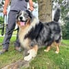 LAIKO