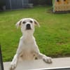 LILOU