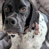 Onyx  Ein 6er im Lotto