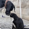Onyx  Ein 6er im Lotto