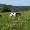 Onyx  Ein 6er im Lotto